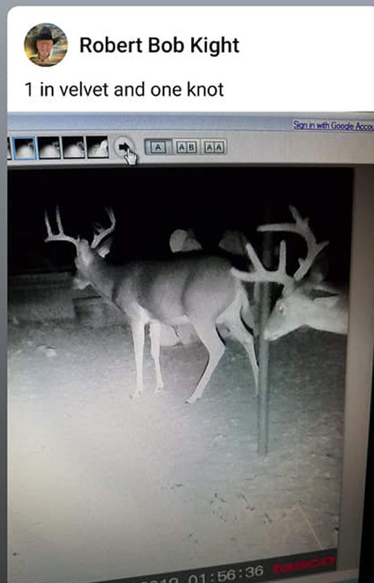 texas-whitetails-deer-hunting-10-2019-b-hunting